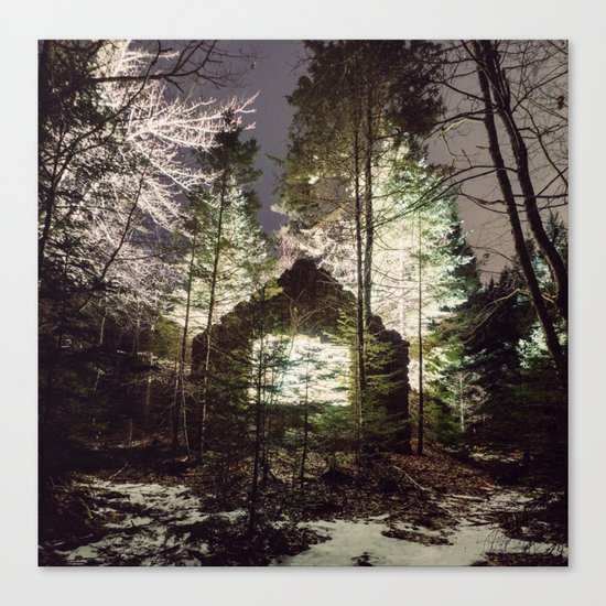 Light in the Forest Canvas Print