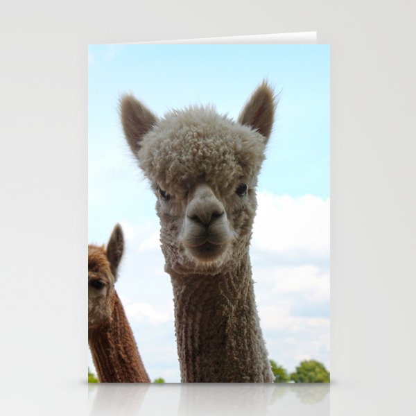 Alpaca Stationery Cards