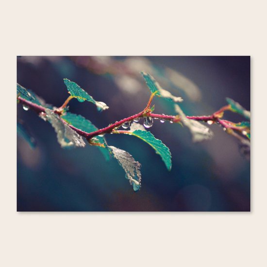 #122 Canvas Print