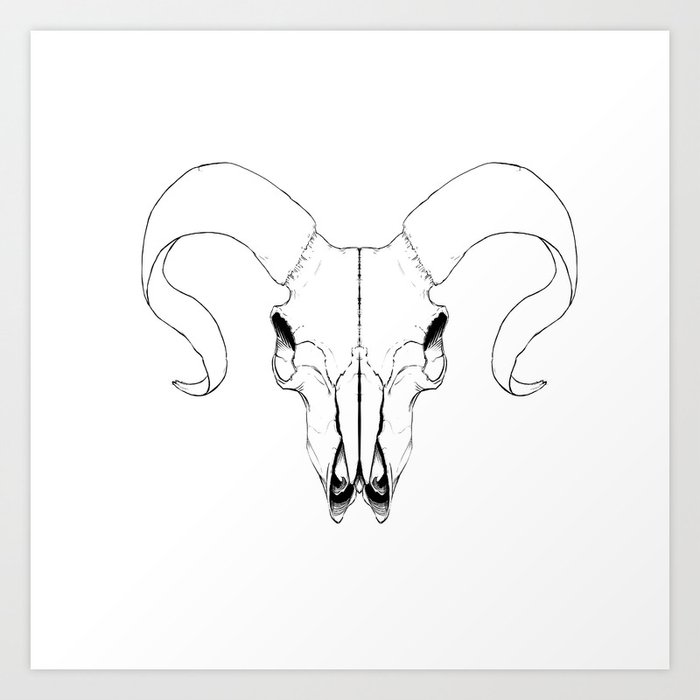 Animal Skull Linework Art Print