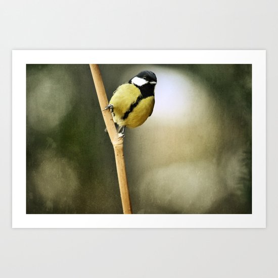 Minuscule bestiole ailée Art Print