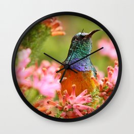 South Africa Photography - Colorful Bird Among  Colorful Flowers Wall Clock