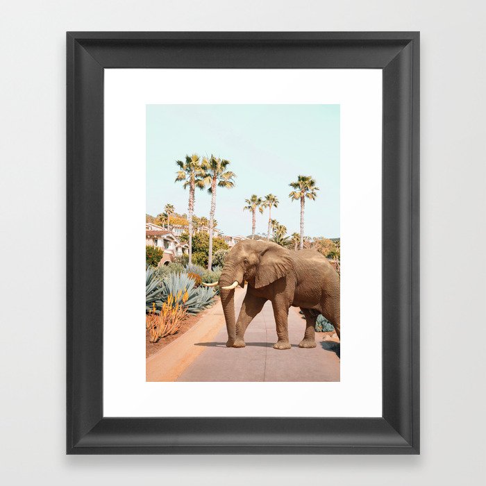 Laguna Beach Elephant Framed Art Print