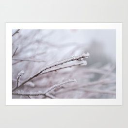 Winter serenity | Snowflakes nearby | Snow crystals on branches Art Print