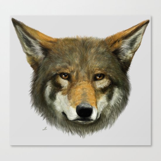 Wolf face Canvas Print