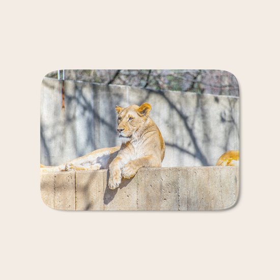 Purrfect Bath Mat