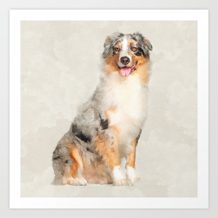 Australian Shepherd Blue Merle Watercolor Digital Art Art Print