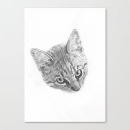 Cat portrait Canvas Print