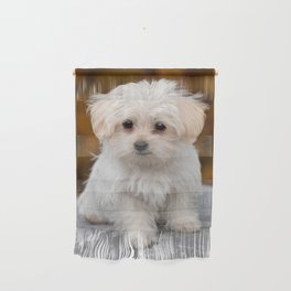 Maltese Puppy Wall Hanging