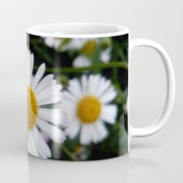 Daisy 8- Marguerite oxeye Mug