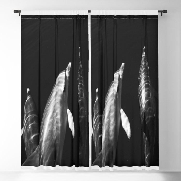 Beautiful wild dolphins black and white Blackout Curtain