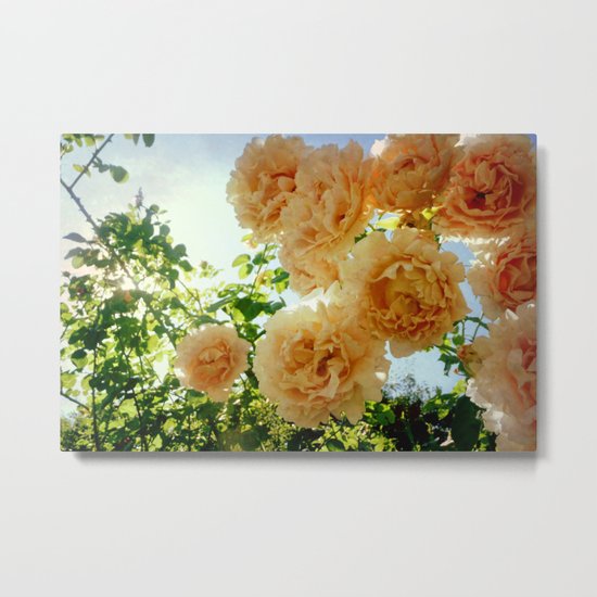 Summery Metal Print