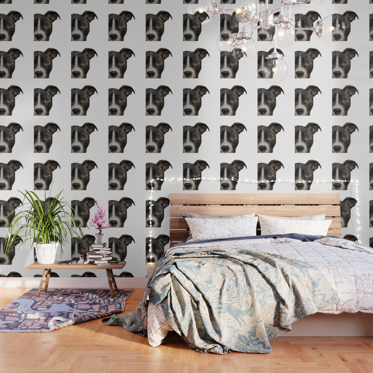 society6