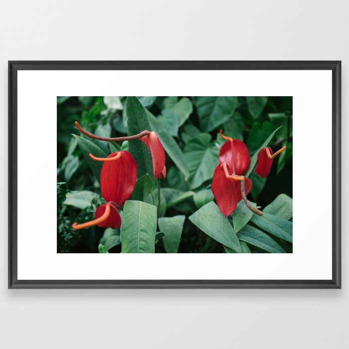 floral composition no. 1 Framed Art Print
