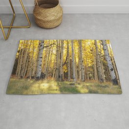 Aspen trees in Autumn ,Coconino National Forest, Arizona, USA Rug