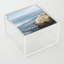 California Rock Dinosaur Acrylic Box