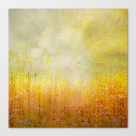Summer Sun Canvas Print