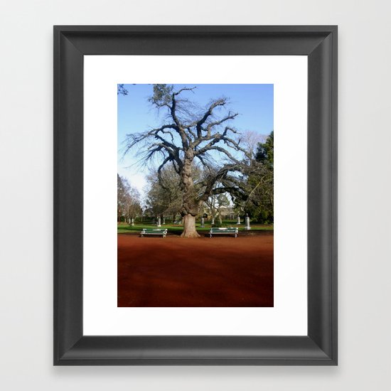 Elm Tree Framed Art Print