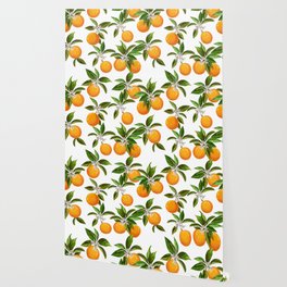 Vintage seamless pattern with citrus fruits. Hand drawn elements. Wallpaper
