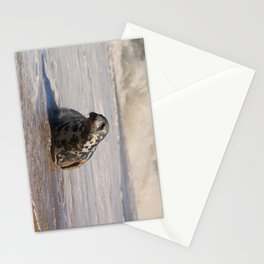 horsey seal Stationery Cards