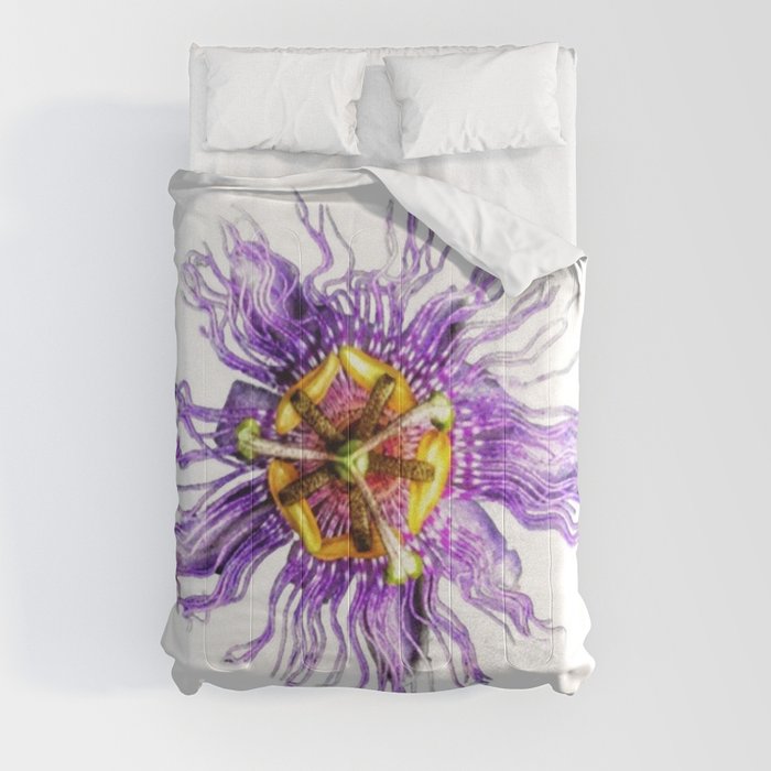 Passiflora incarnata Comforter