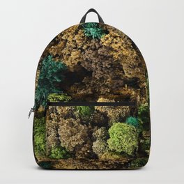 Four Seasons  Backpack
