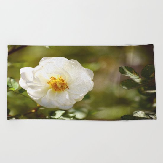 Summer Rose Beach Towel
