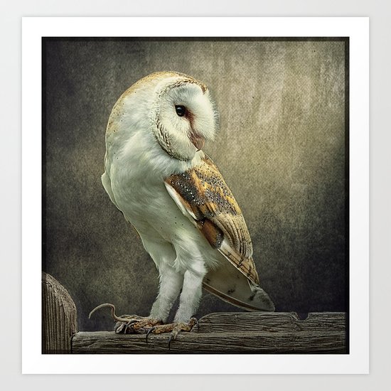 Barn Owl and Mouse Art Print