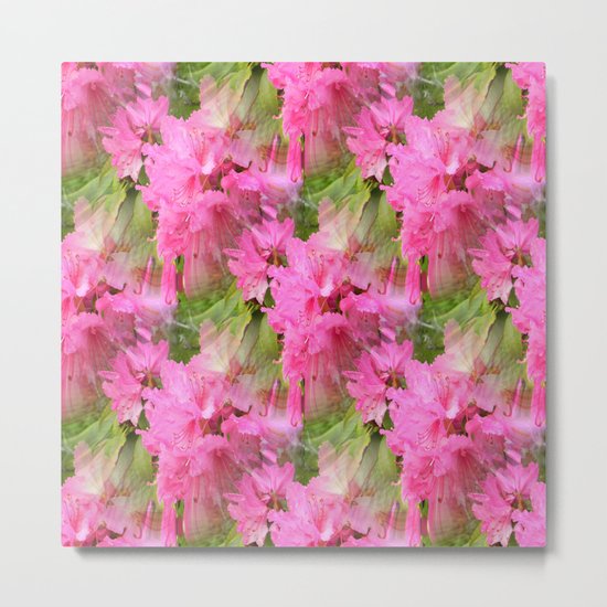 Azaleas in Pink... Metal Print