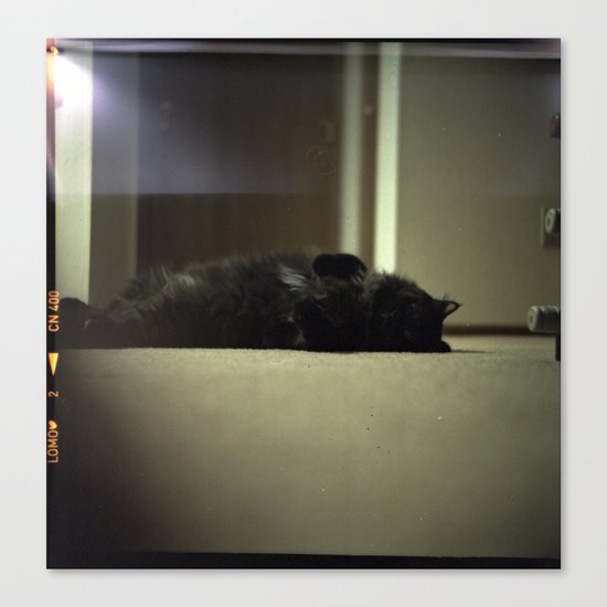 Belly Rub Canvas Print