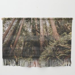 Forest Adventure - Redwood National Park Hiking Wall Hanging