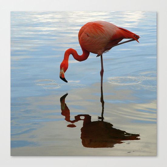 Pink Flamingo Canvas Print