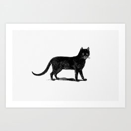 Vintage Black Cat Art Print