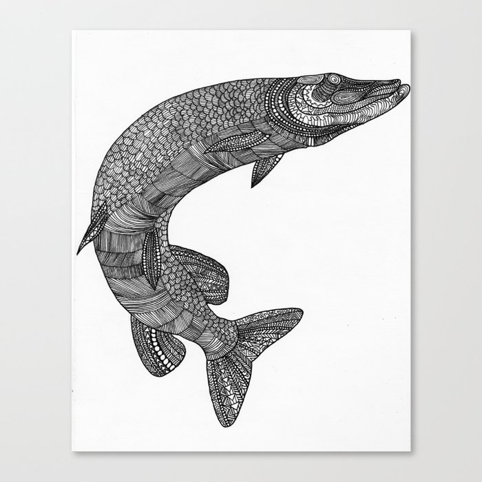 Northern pike - Esox lucius Canvas Print