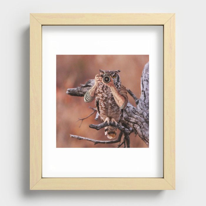 Normal Owl Recessed Framed Print