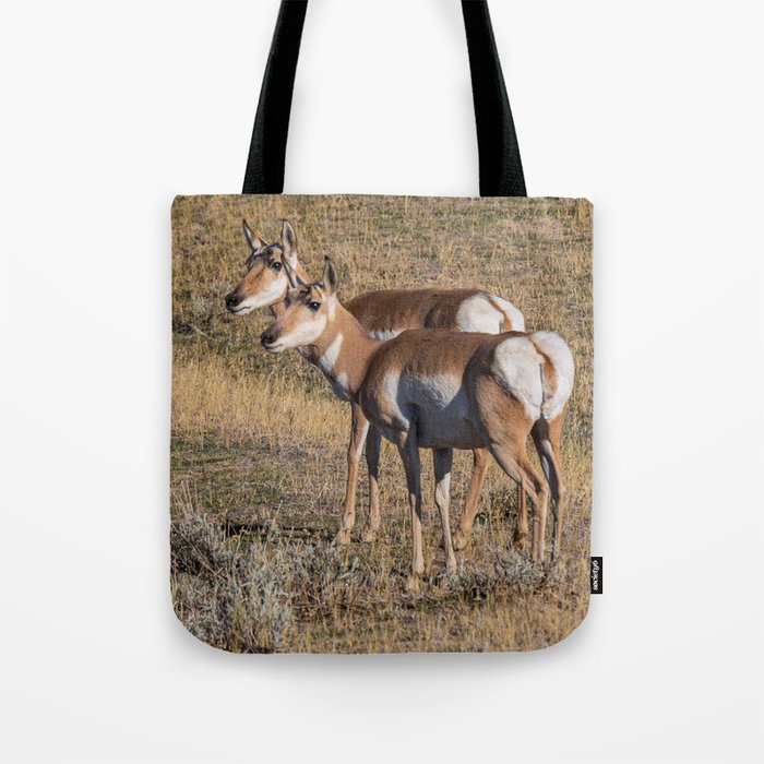 Pronghorns In Wyoming Tote Bag