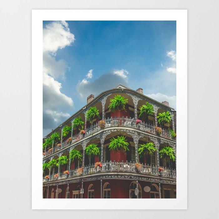 French Quarter Ferns | New Orleans, Louisiana | Travel Photography Art Print