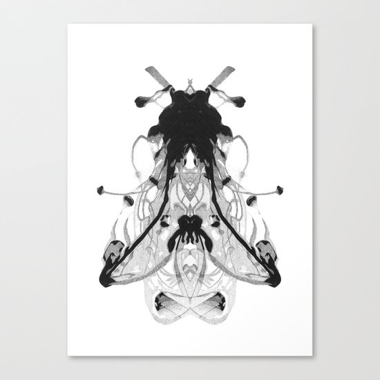 Fly Canvas Print