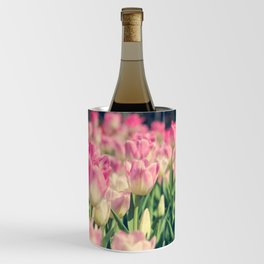 Blooming pink and yellow tulips.  Wine Chiller