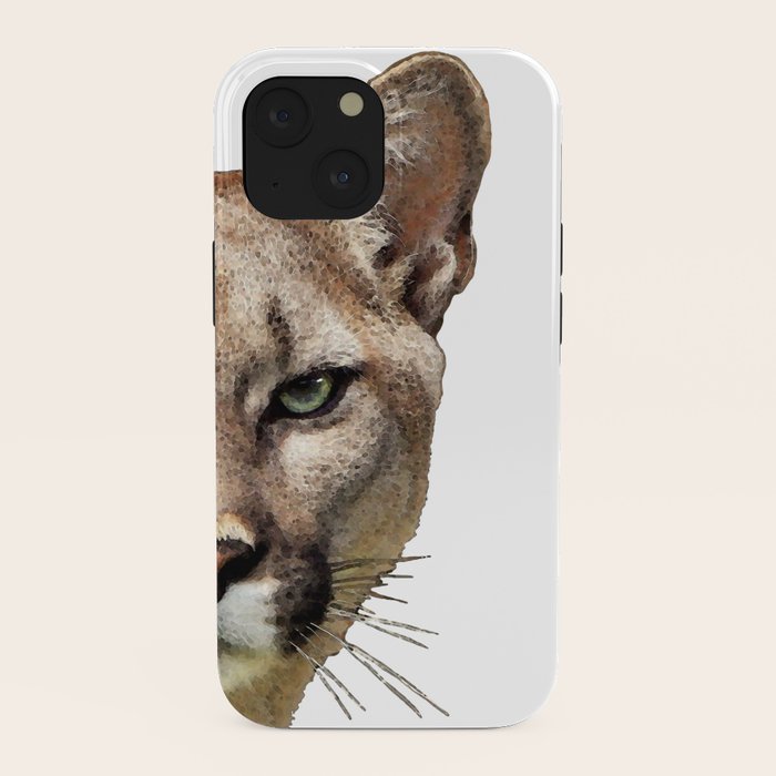 Puma Mountain Lion Cougar Big Cat Art iPhone Case by Sharon