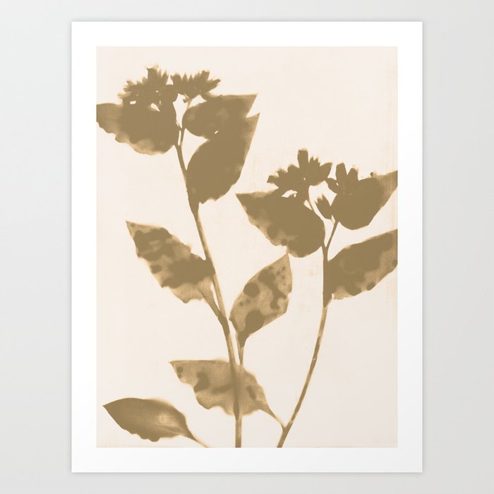 Beige and Taupe Flowers Art Print