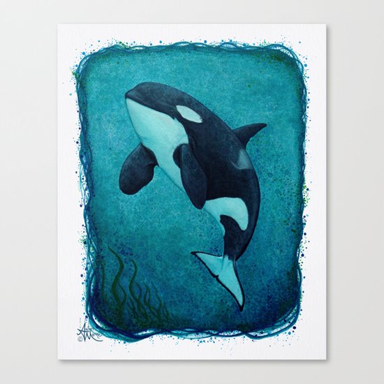 "The Matriarch" by Amber Marine ~ Orca / Killer Whale (J2 Granny) Watercolor Painting, (c) 2016 Canvas Print