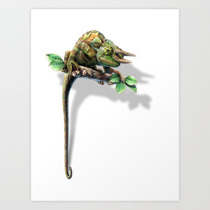 Three-Horned Chameleon Art Print