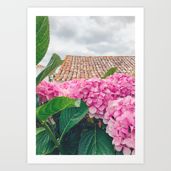 Pink Flowers in Obidos, Portugal Art Print