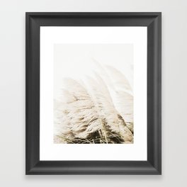 Pampas Grass Framed Art Print