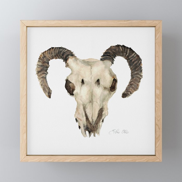 Ram Skull Framed Mini Art Print