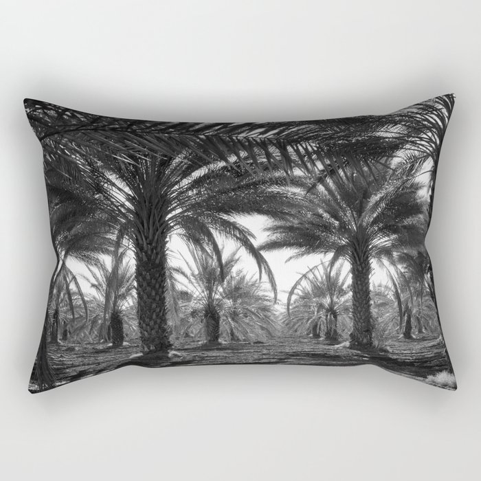  Date palms, Coachella Valley, California palm tree nature portrait tropical black and white photograph - photography - photographs Rectangular Pillow