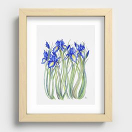 Blue Iris, Illustration Recessed Framed Print