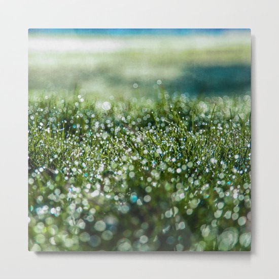 Spring Morning Metal Print