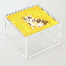 Ginger the Bulldog Acrylic Box